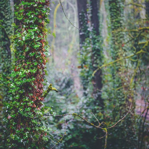 有关不变, 冷靜, 分公司的免费素材图片