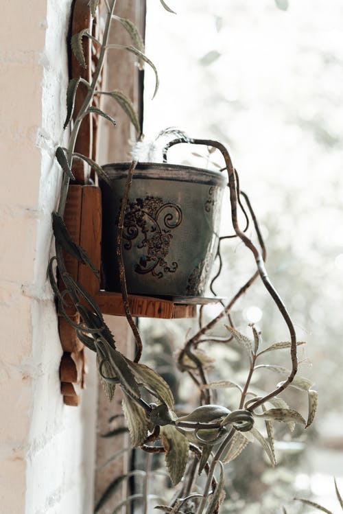 有关不平, 作文, 垂直拍摄的免费素材图片