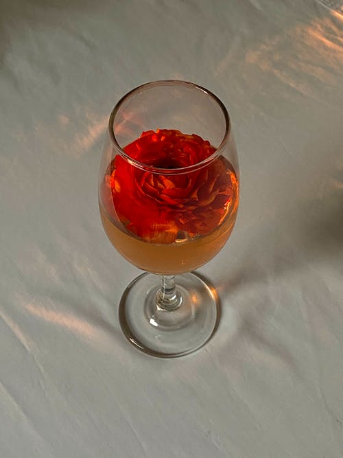 有关一部分, 元素, 光的免费素材图片