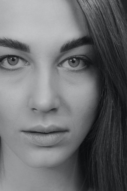 有关優雅, 光鮮亮麗, 單色的免费素材图片