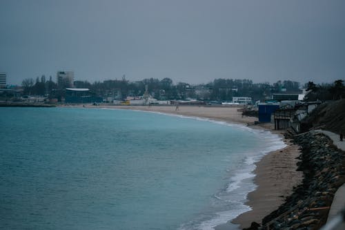 有关冷靜, 叶儿, 城市的免费素材图片