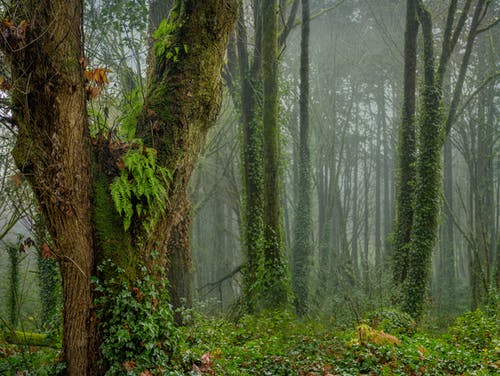 有关不变, 冷靜, 分公司的免费素材图片