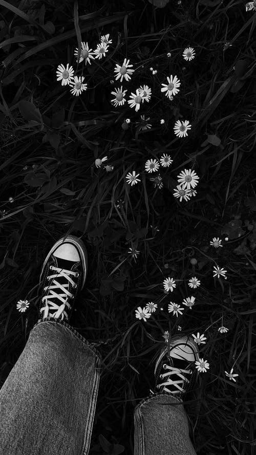 有关bw, 一般開銷, 不露面的免费素材图片