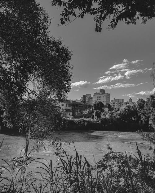 有关單色, 垂直拍摄, 建造的免费素材图片