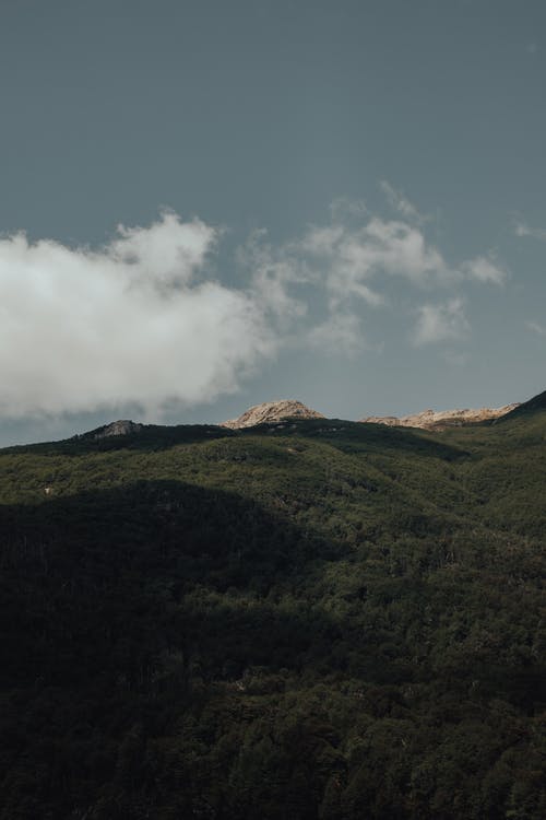 有关垂直拍摄, 天性, 天空的免费素材图片