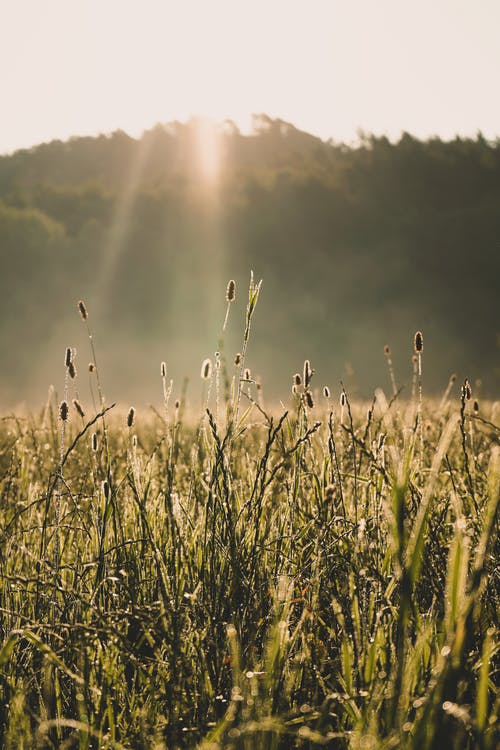 有关垂直拍摄, 天性, 天空的免费素材图片