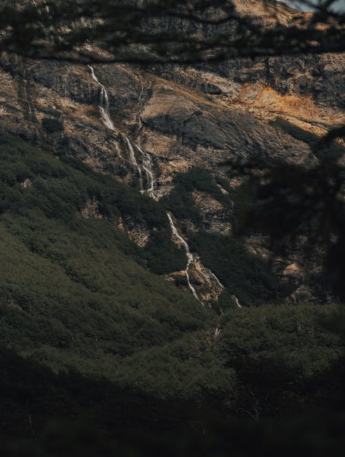 有关垂直拍摄, 天性, 景觀的免费素材图片