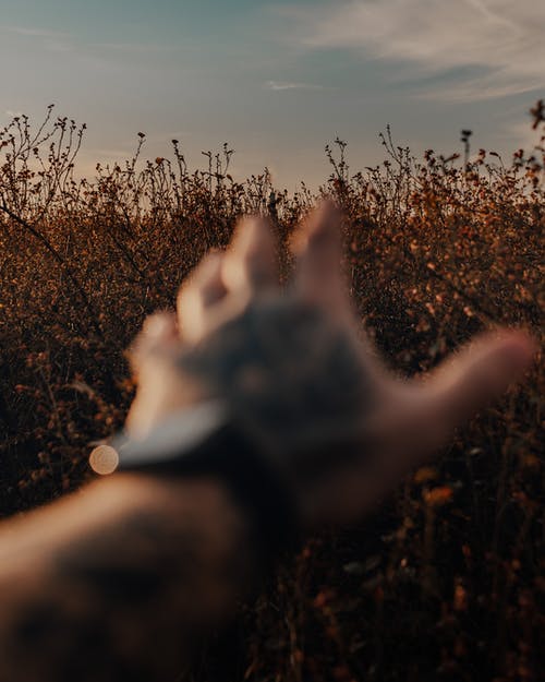 有关不露面, 人, 伸出的免费素材图片