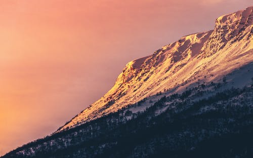 有关冬季, 大雪覆盖, 天性的免费素材图片