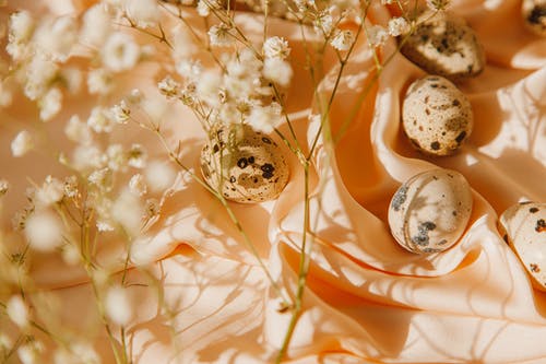 有关假日, 傳統, 優雅的免费素材图片