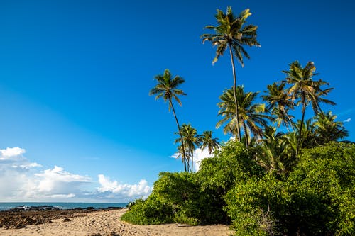 有关天堂, 天性, 岸邊的免费素材图片