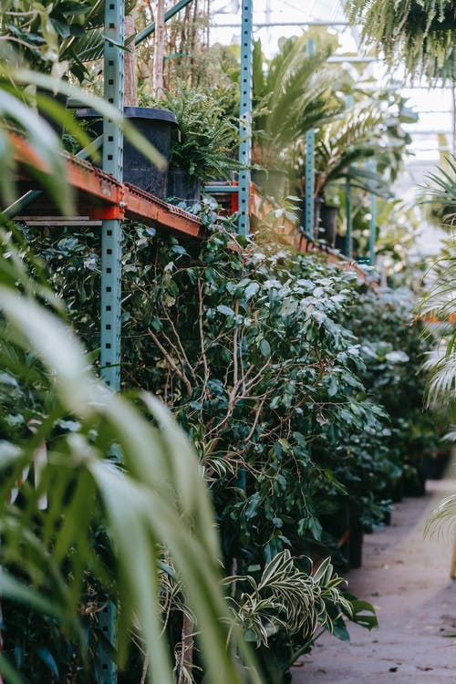 有关不一樣, 各種, 和諧的免费素材图片