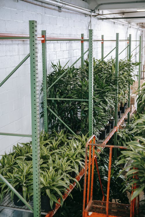 有关不一樣, 什錦的, 保管的免费素材图片