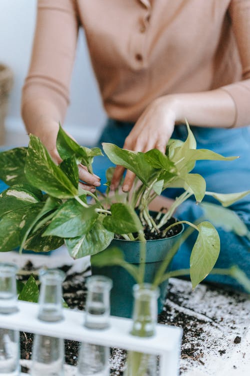 有关不露面, 休閒, 公寓的免费素材图片