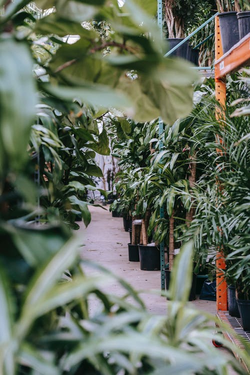 有关什錦的, 划船, 地板的免费素材图片