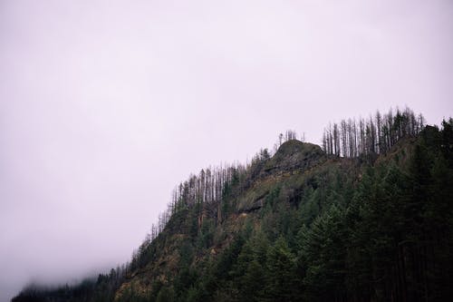 有关Copyspace, 不变, 冷靜的免费素材图片