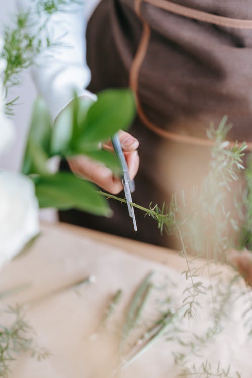 有关不露面, 人, 切的免费素材图片