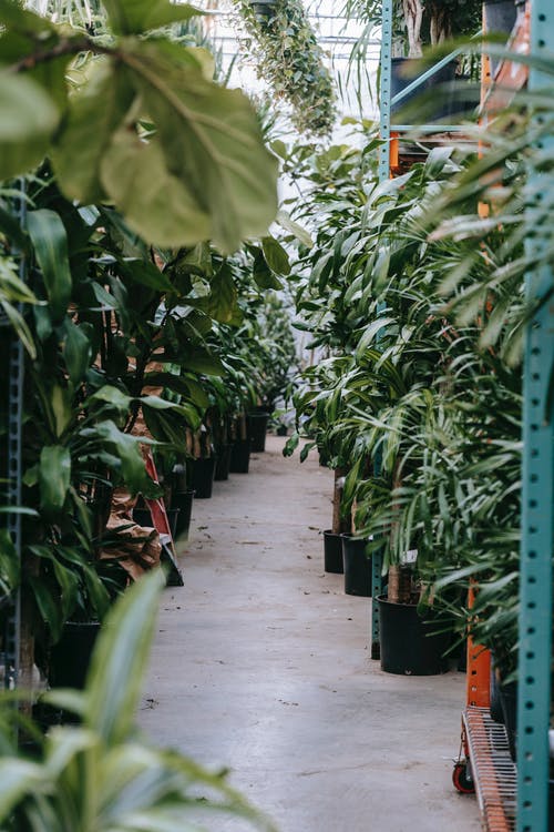 有关什錦的, 划船, 地板的免费素材图片