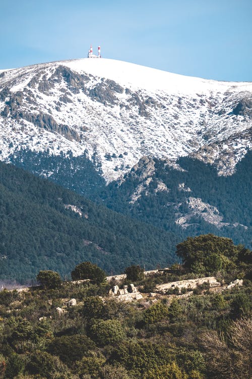 有关冬季, 垂直拍摄, 大雪覆盖的免费素材图片