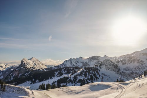有关下雪的, 冬季, 天性的免费素材图片