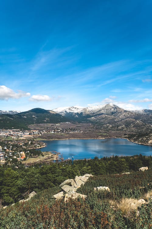 有关垂直拍摄, 大雪覆盖, 天性的免费素材图片