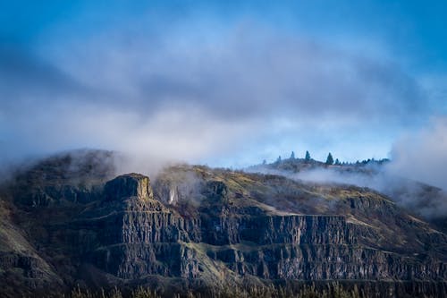 有关不变, 冷靜, 华丽的的免费素材图片