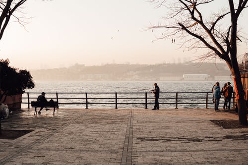 有关一起, 下落, 公共的免费素材图片