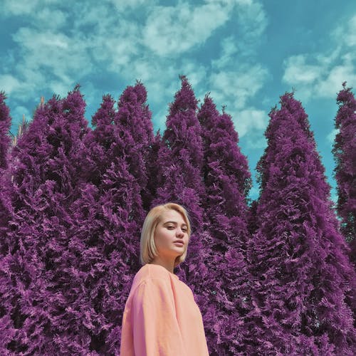 有关低角度拍攝, 春天, 樹木的免费素材图片