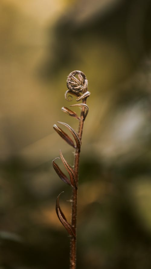 有关乾燥, 光, 單的免费素材图片