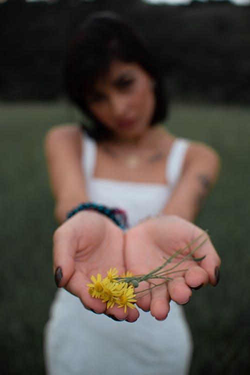 有关不露面, 休閒, 伸出的免费素材图片