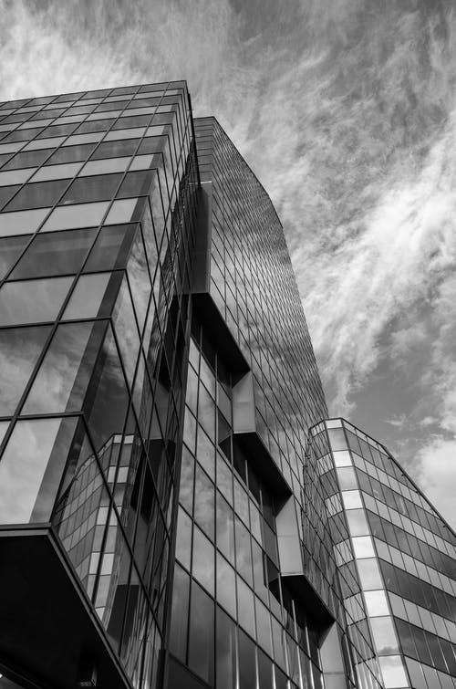 有关低角度拍摄, 單色, 垂直拍摄的免费素材图片