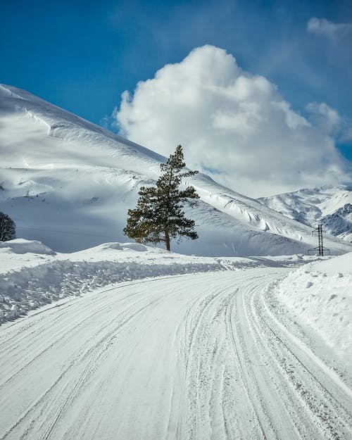 有关冬季景觀, 垂直拍摄, 大雪覆盖的免费素材图片