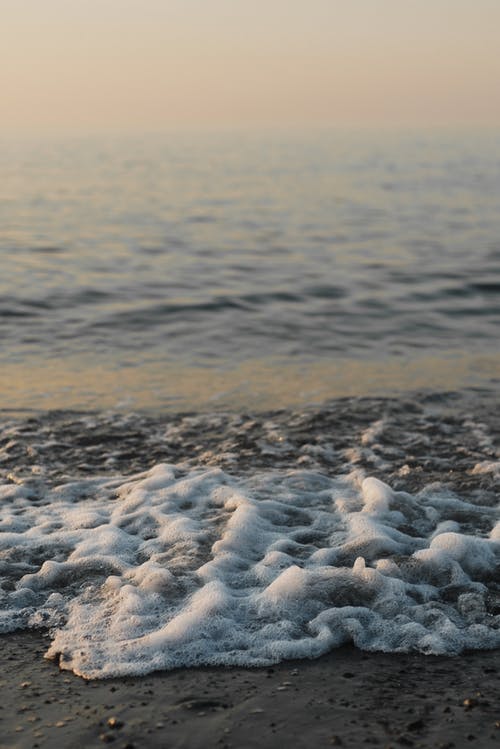 有关垂直拍摄, 天性, 岸邊的免费素材图片