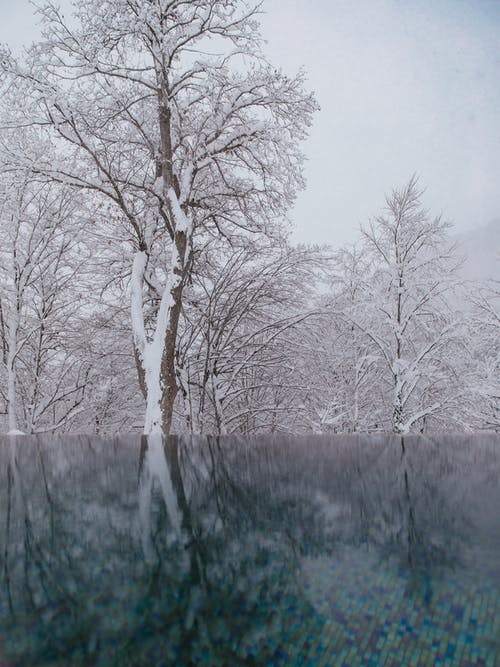 有关下雪的, 冬季, 冷冰的的免费素材图片