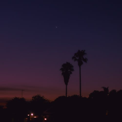 有关创意摄影, 日落美景, 晚安的免费素材图片