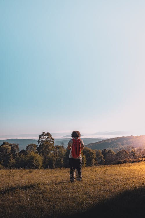 有关垂直拍摄, 山, 後视图的免费素材图片