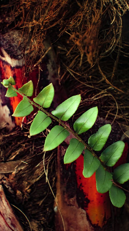 有关乾的, 光, 冷静的免费素材图片