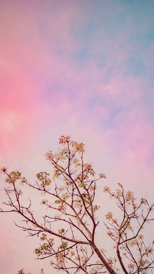 有关从下面, 低角度, 光的免费素材图片