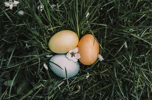 有关一般开销, 上漆的, 事件的免费素材图片