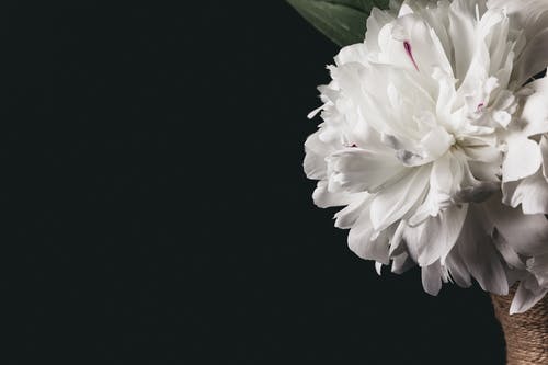 有关Copyspace, 作文, 光滑的免费素材图片