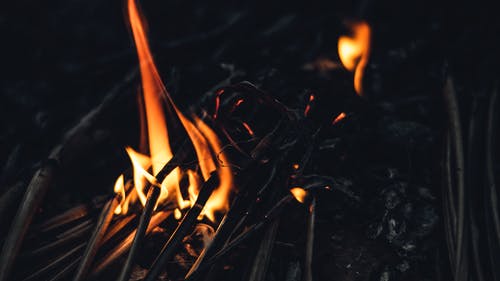 有关乾的, 光, 分公司的免费素材图片