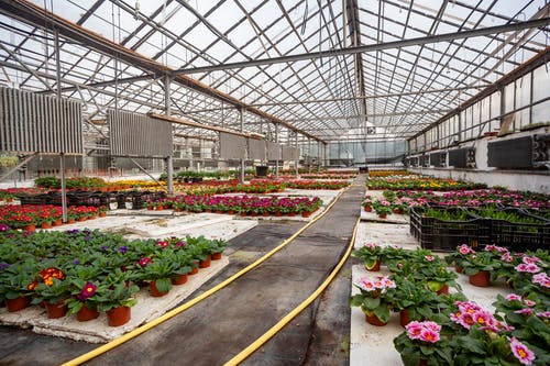 有关什锦的, 各种, 味道的免费素材图片