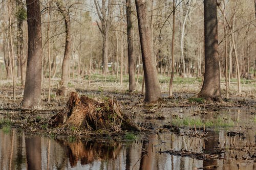有关乾的, 冷静, 分公司的免费素材图片