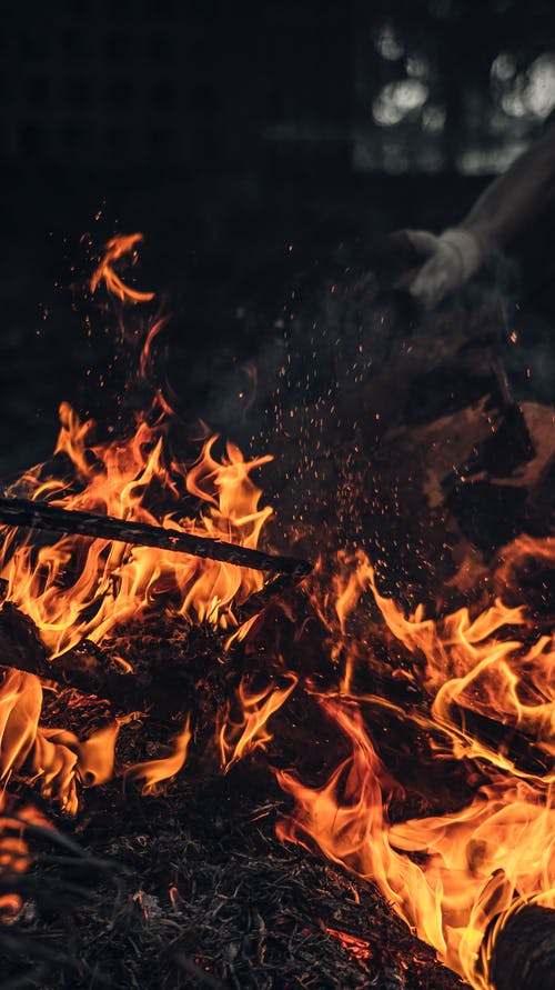 有关乾的, 光, 分公司的免费素材图片