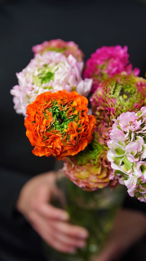 有关不露面, 人, 光的免费素材图片