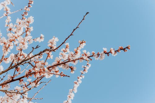 有关Copyspace, 亚美尼亚, 从下面的免费素材图片