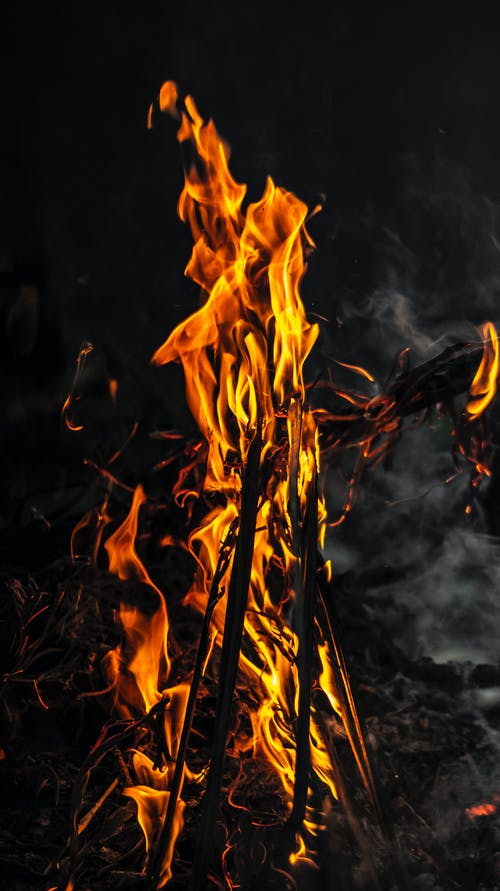 有关乾的, 光, 分公司的免费素材图片