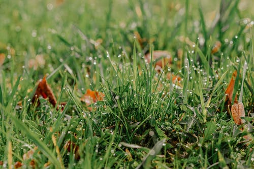 有关乾的, 半透明, 地平线的免费素材图片