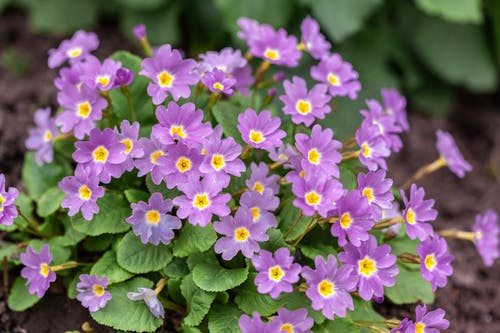 有关土, 土地, 地平线的免费素材图片