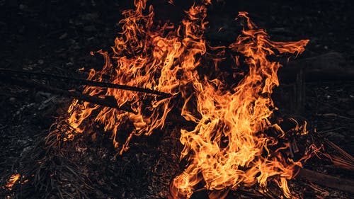 有关乾的, 光, 分公司的免费素材图片